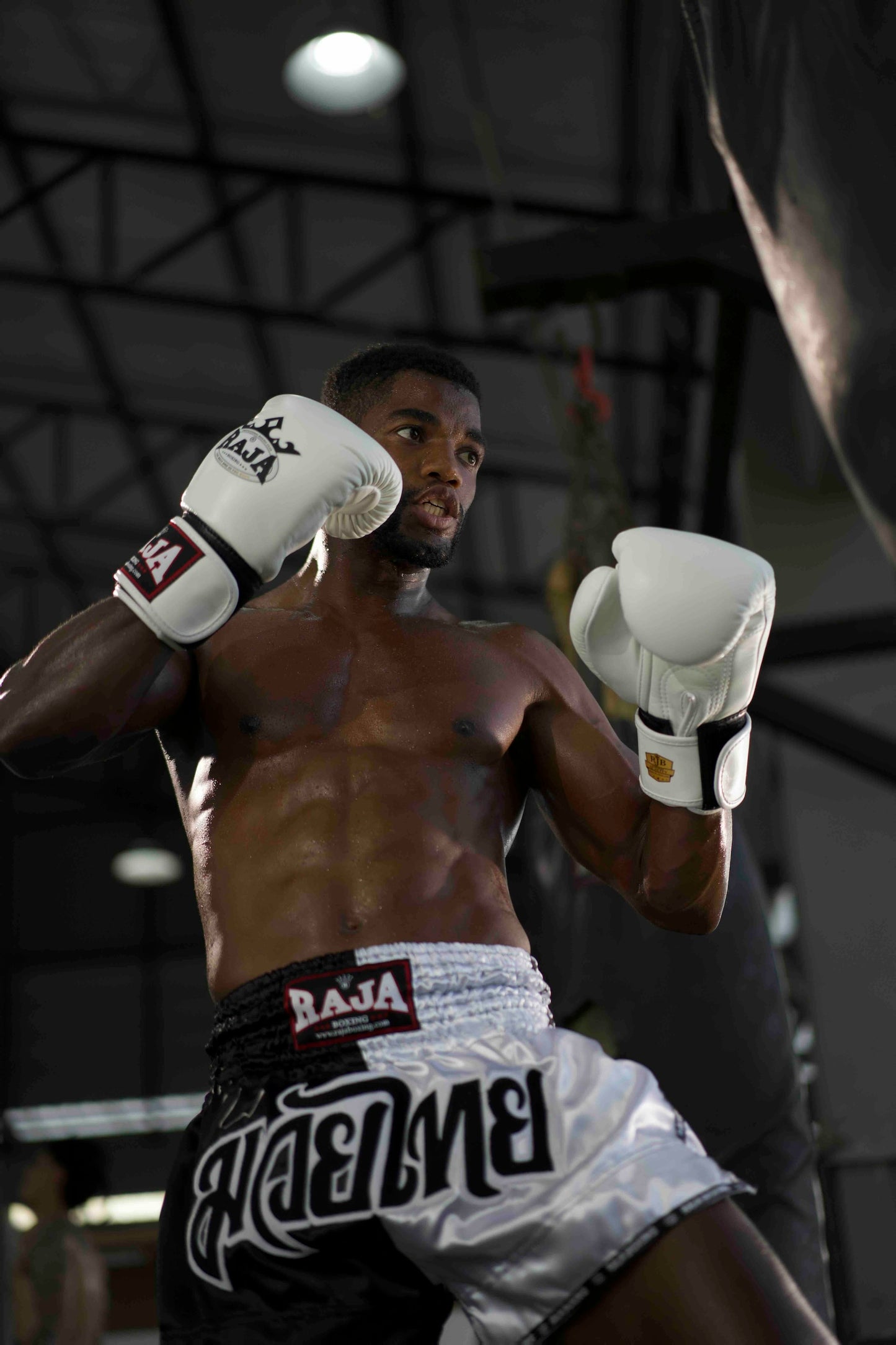 Rajaboxing Gloves 'Standard White' Leather